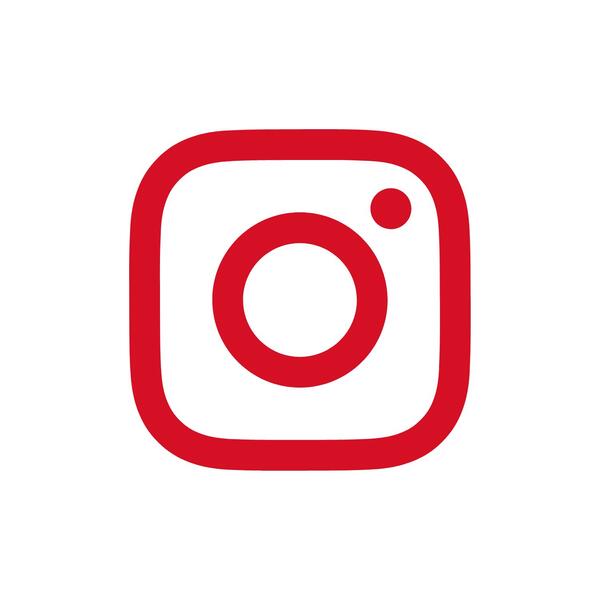 EVO-STIK Instagram logo